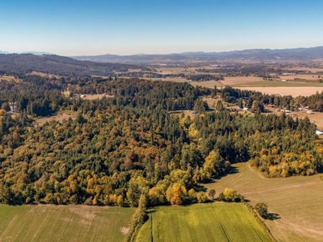 Land for sale in Dayton, Yamhill County