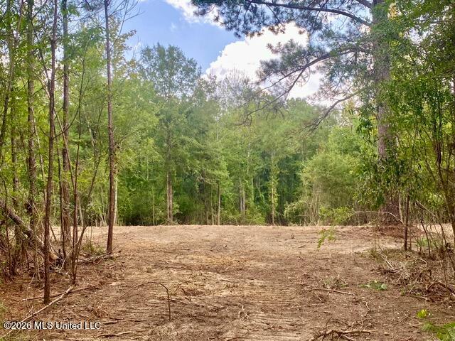 Land for sale in Mississippi