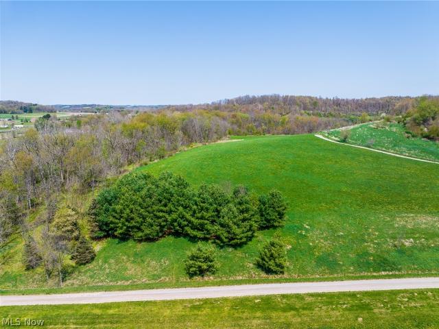 Land for sale in Minerva, Ohio