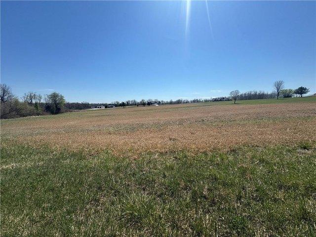 Land for sale in Holt, Missouri