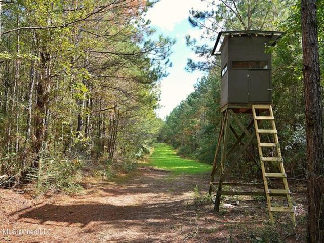 Land for sale in Mississippi