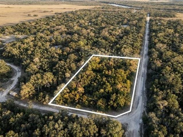 Land for sale in Suwannee, Florida