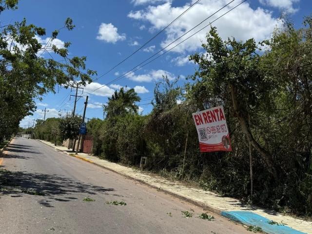 Terreno en renta en Tekax, Yucatán