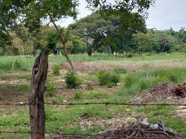 Terreno en renta en Berriozábal, Chiapas