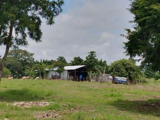 Terreno en renta en Berriozábal, Chiapas
