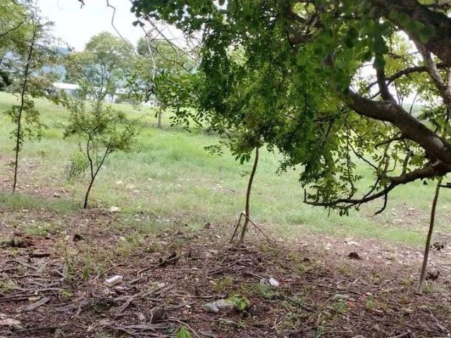Terreno en renta en Tuxtla Gutiérrez, Chiapas