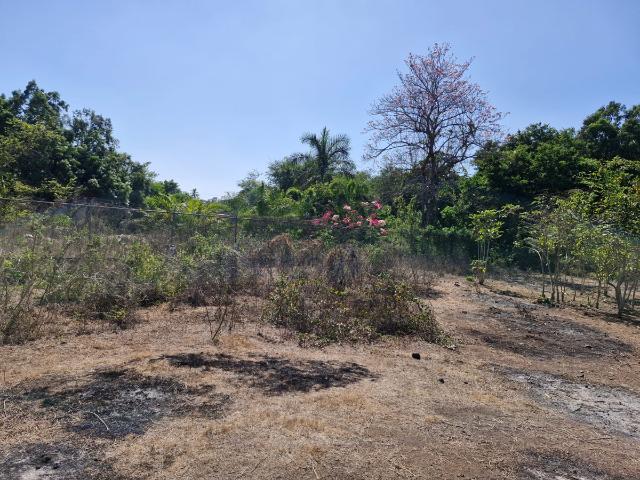 Local Comercial en renta en Lázaro Cárdenas, Michoacán