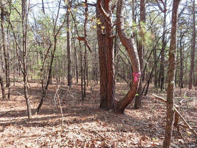 Land for sale in Red Oak, Oklahoma