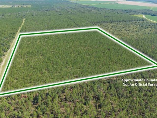Land for sale in Lee, Florida