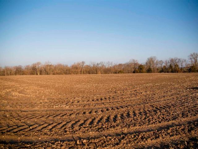 Land for sale in Loraine, Adams County