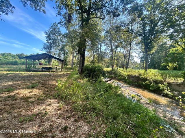 Land for sale in Prentiss, Jefferson Davis County