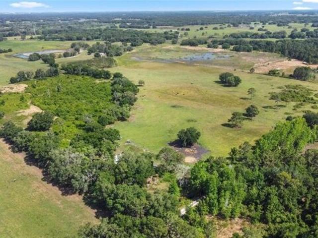 Land for sale in Center Hill Land for sale in Center Hill