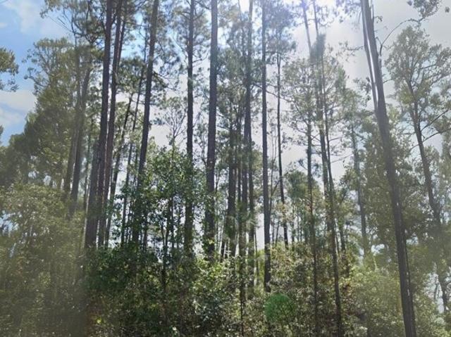 Land for sale in Georgetown Land for sale in Georgetown