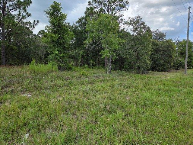 Land for sale in Morriston, Florida