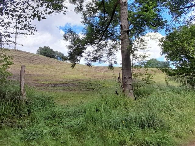 Terreno en venta en La Riba, Rasines