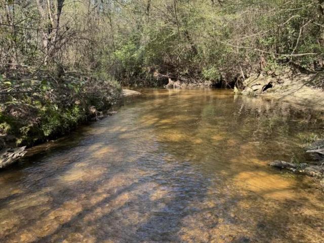 Land for sale in Bogue Chitto, Mississippi
