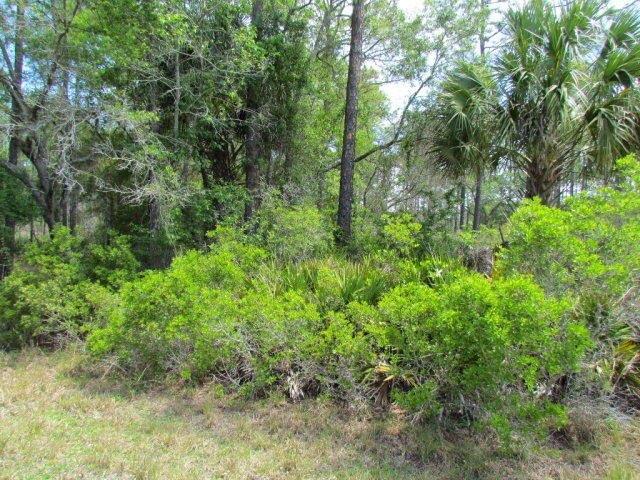 Land for sale in Inglis, Florida