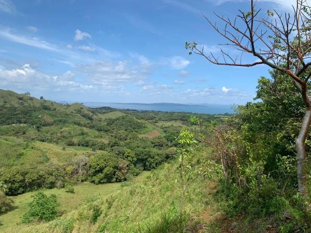 Terreno venta en Soná