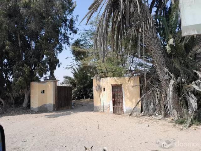 Terreno venta en Pisco, Ica