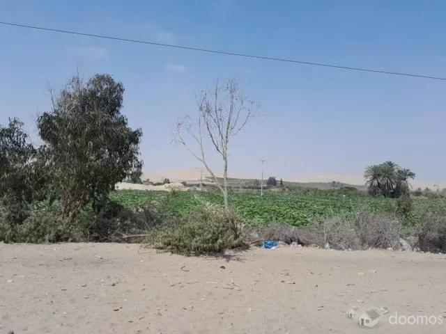 Terreno venta en Pisco, Ica