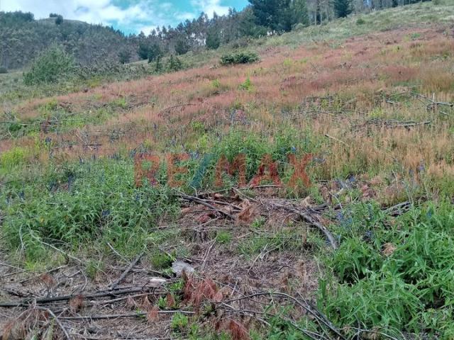 Terreno venta en Cajamarca