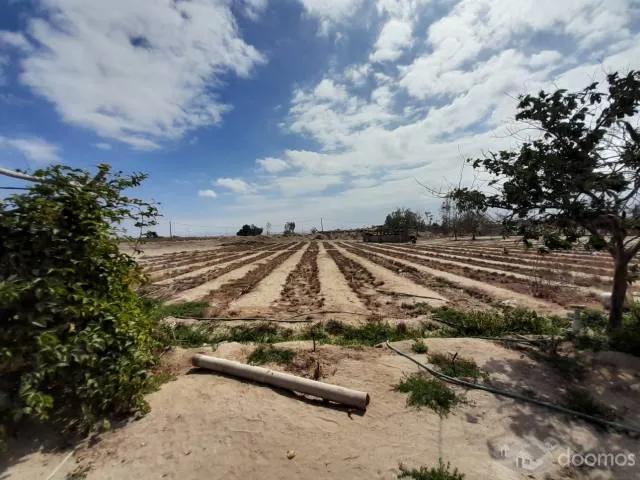 Terreno venta en Paracas, Ica
