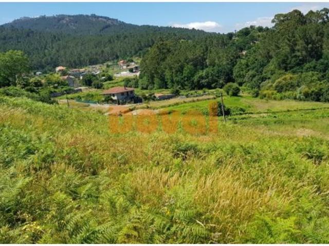 Local Comercial en venta en Tui, O Baixo Miño