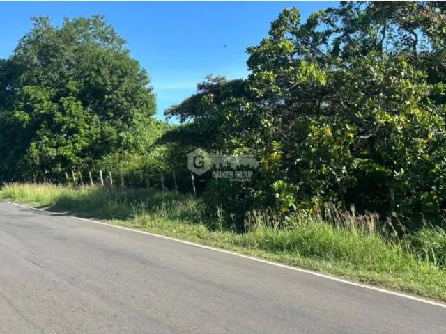 Terreno venta en Coclé, Penonomé