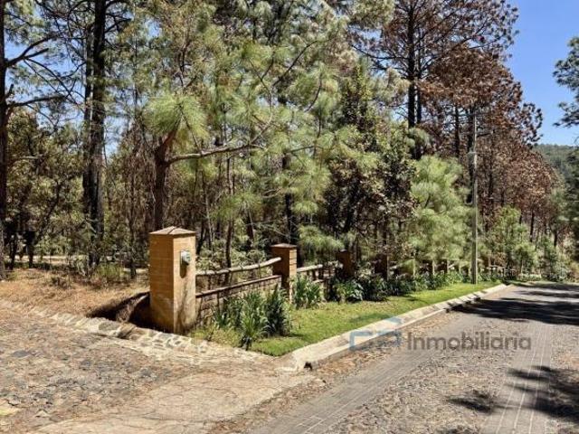 SE VENDE CABAÑA EN BOSQUES DE LA CAÑADA TAPALPA