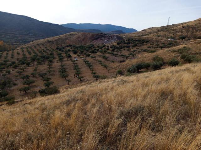 Terreno en venta en Aranda, Aragón