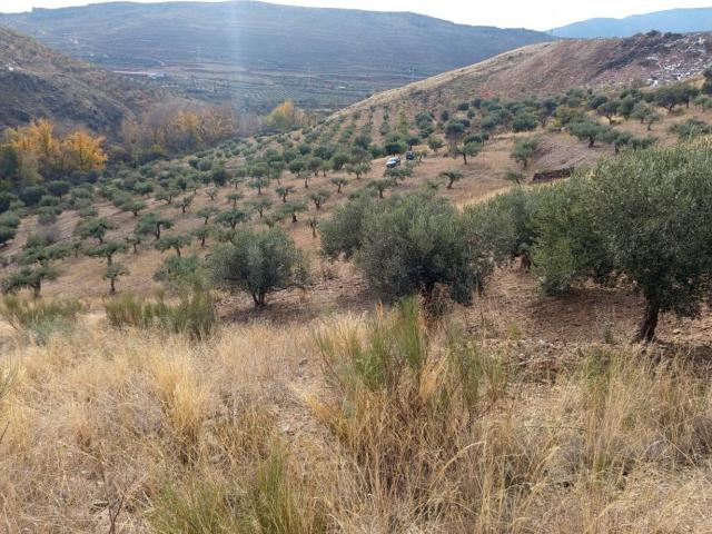 Terreno en venta en Aranda, Aragón