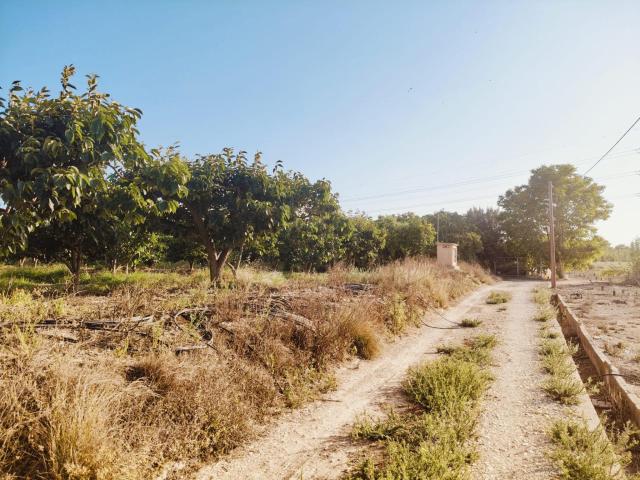 Terreno en venta en la Ribera Alta, Valencia