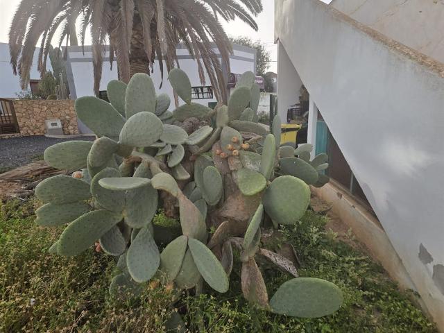 Casa en venta en Tetir, Puerto del rosario