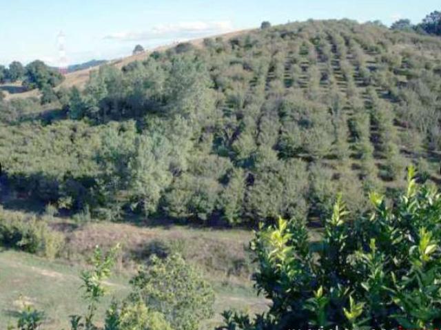 Casa en venta en Zamudio, Guipúzcoa
