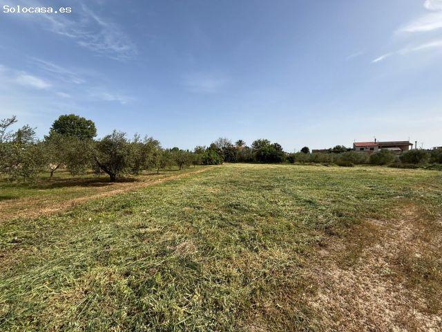Casa en venta en El Paraje, Vega Media del Segura
