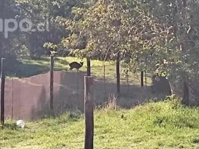 Casa en venta en Quemchi, Los Lagos