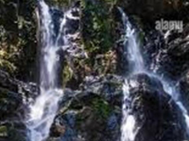 Se vende casa en el espino, la pintada