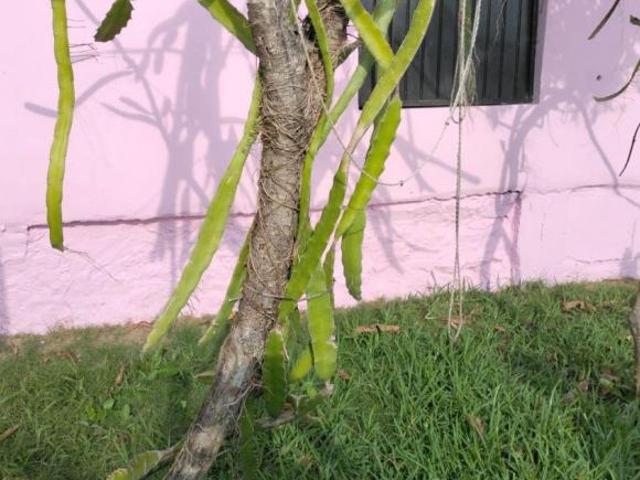 SE VENDE CASA EN LA COLONIA LAREDO A UNA CUADRA DE LA AVENIDA DOCTORES POZA RICA, VER
