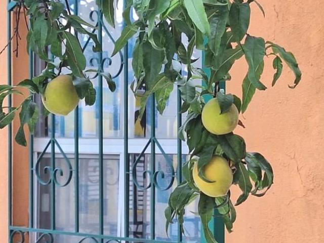 Se Vende Casa en La Junta