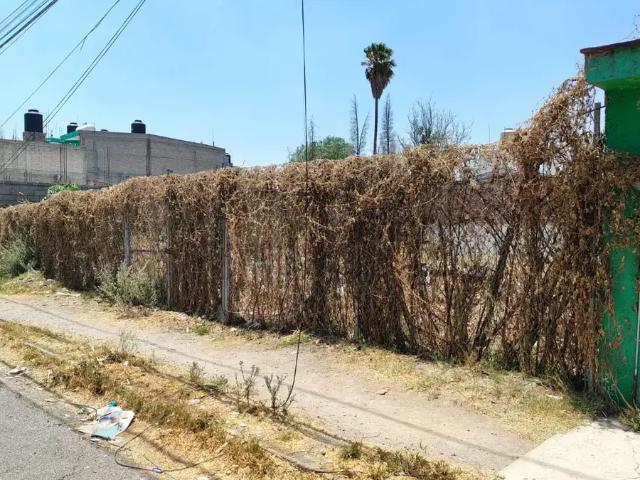Casa en venta en Chiautla, Estado de México