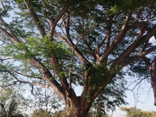 Se vende casa en San Carlos, Panamá Oeste