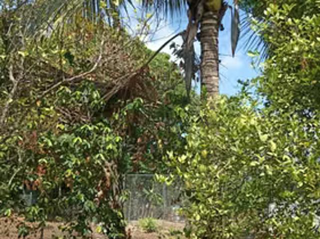 Casa venta en Natá