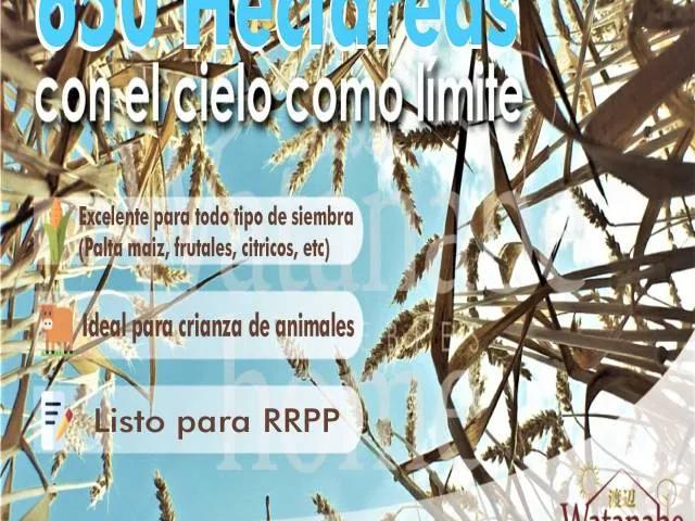 Terreno venta en Huaura, Lima Metropolitana