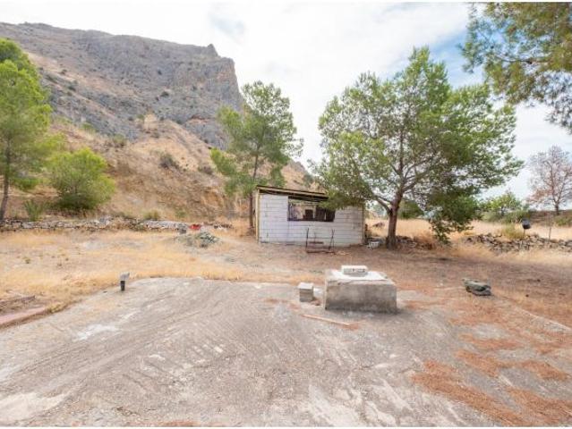 Local Comercial en venta en La Aparecida, el Baix Segura / La Vega Baja