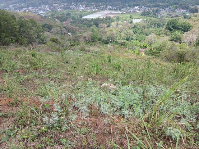Terreno en venta en Caripe, Monagas