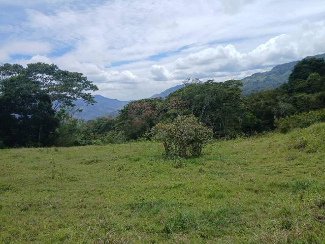 Terreno en venta en Caripe, Monagas