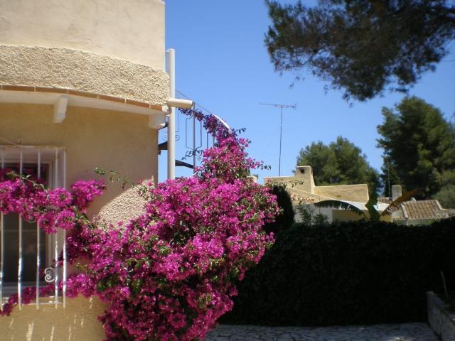 Casa en venta en Barri Port / Centro, la Marina Alta