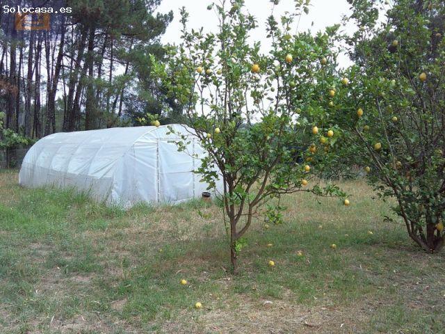 Casa en venta en Ribadumia, O Salnés