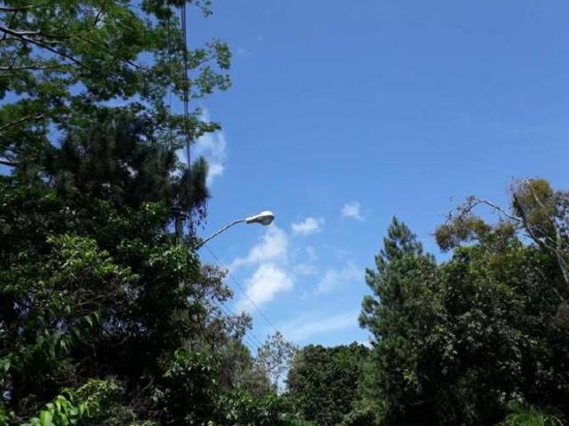 Se vende excelente lote altos de maría, el encanto