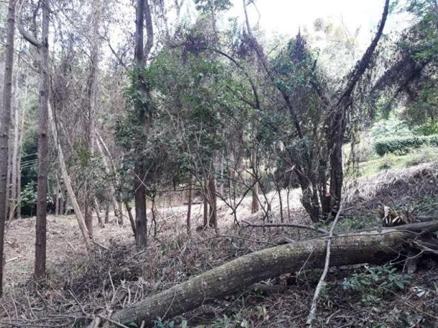 Se vende excelente lote altos de maría, el encanto